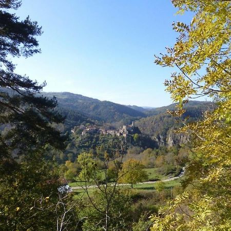 Gite En Pierre Avec Terrasses, Proche De Sites Medievaux, Ideal Pour Famille Avec Equipements Bebe. - Fr-1-582-256 Boisset  Экстерьер фото