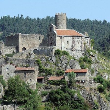 Gite En Pierre Avec Terrasses, Proche De Sites Medievaux, Ideal Pour Famille Avec Equipements Bebe. - Fr-1-582-256 Boisset  Экстерьер фото