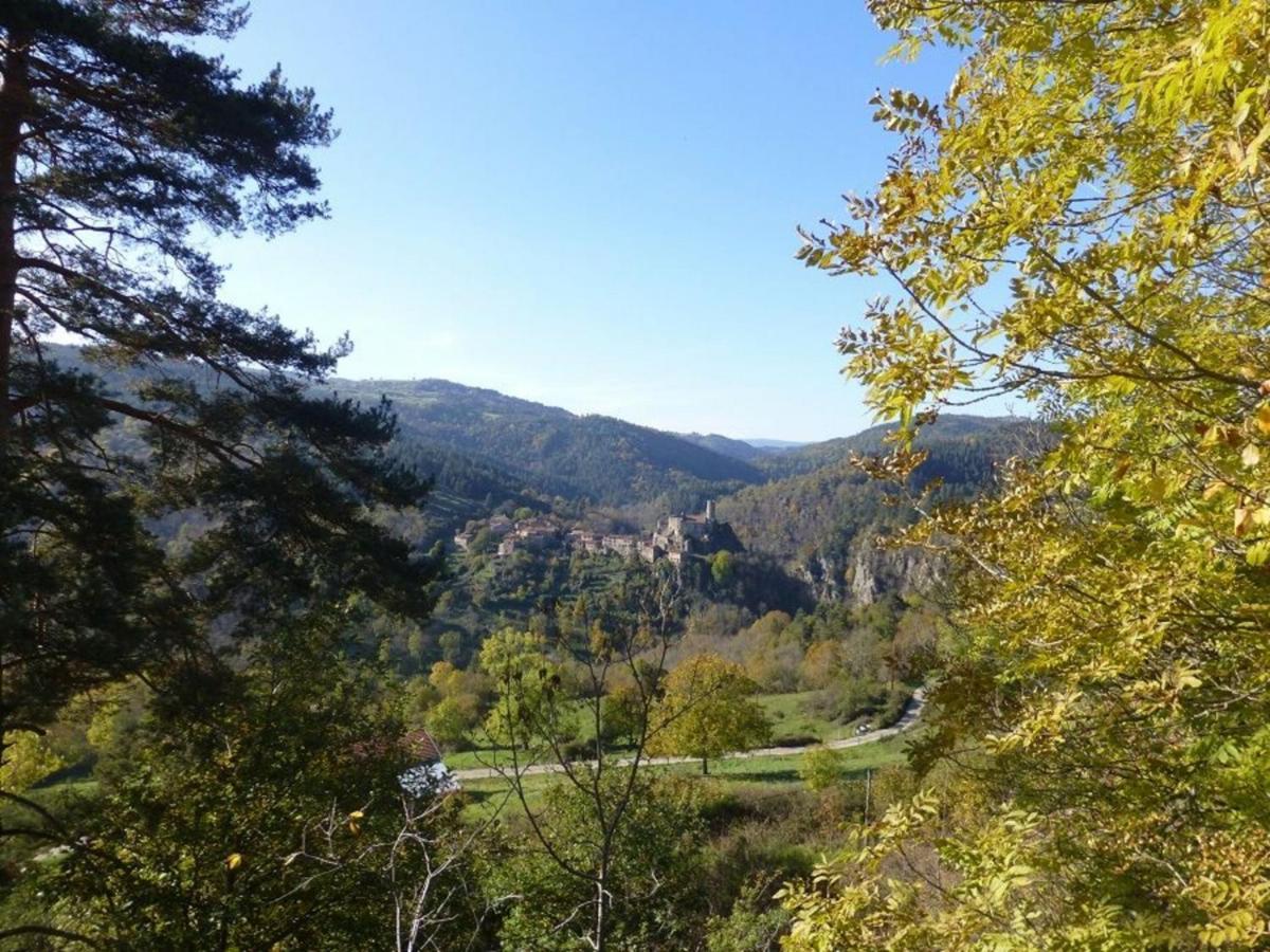 Gite En Pierre Avec Terrasses, Proche De Sites Medievaux, Ideal Pour Famille Avec Equipements Bebe. - Fr-1-582-256 Boisset  Экстерьер фото