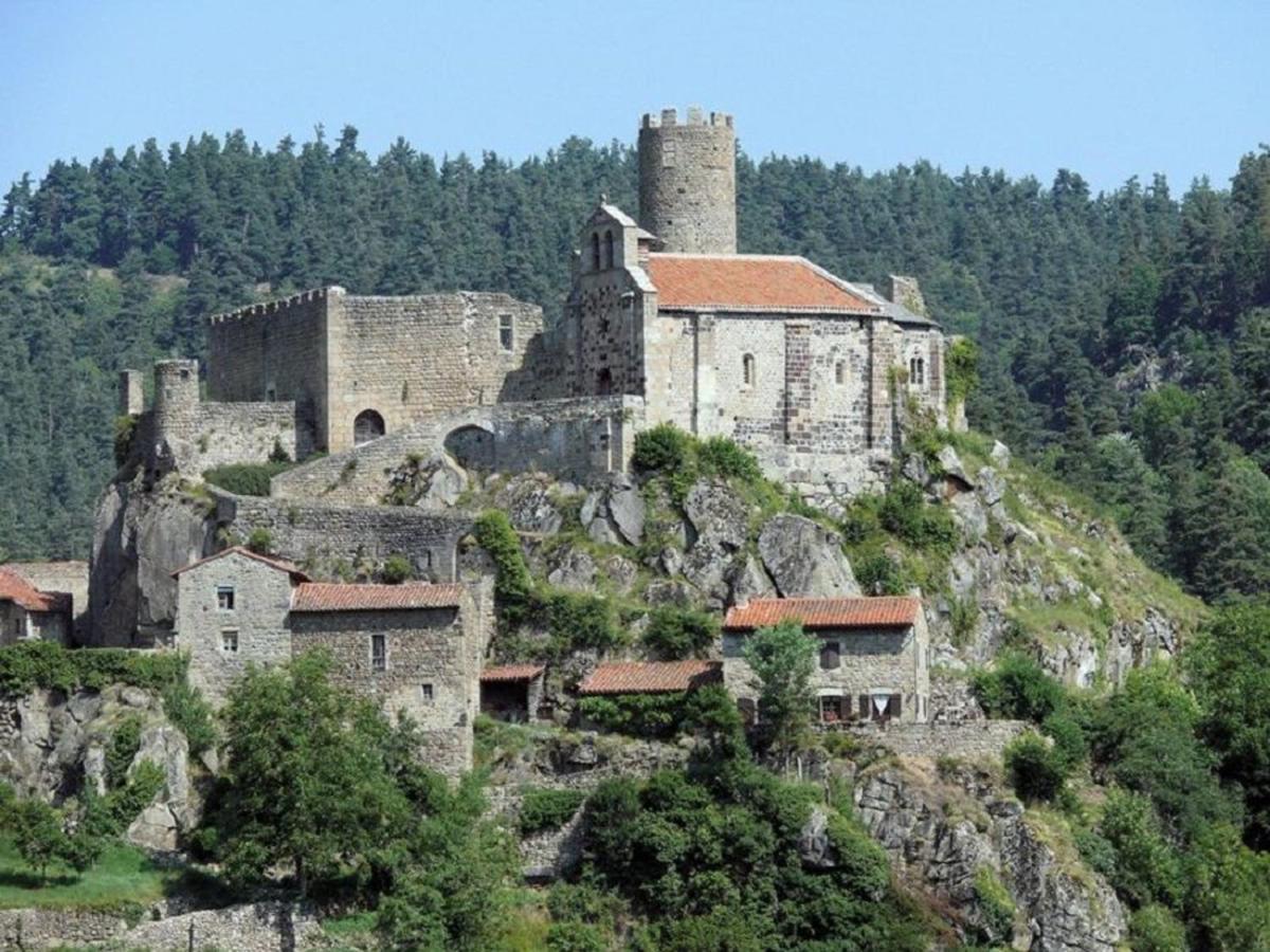 Gite En Pierre Avec Terrasses, Proche De Sites Medievaux, Ideal Pour Famille Avec Equipements Bebe. - Fr-1-582-256 Boisset  Экстерьер фото
